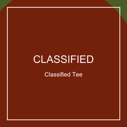 Classified Tee preview