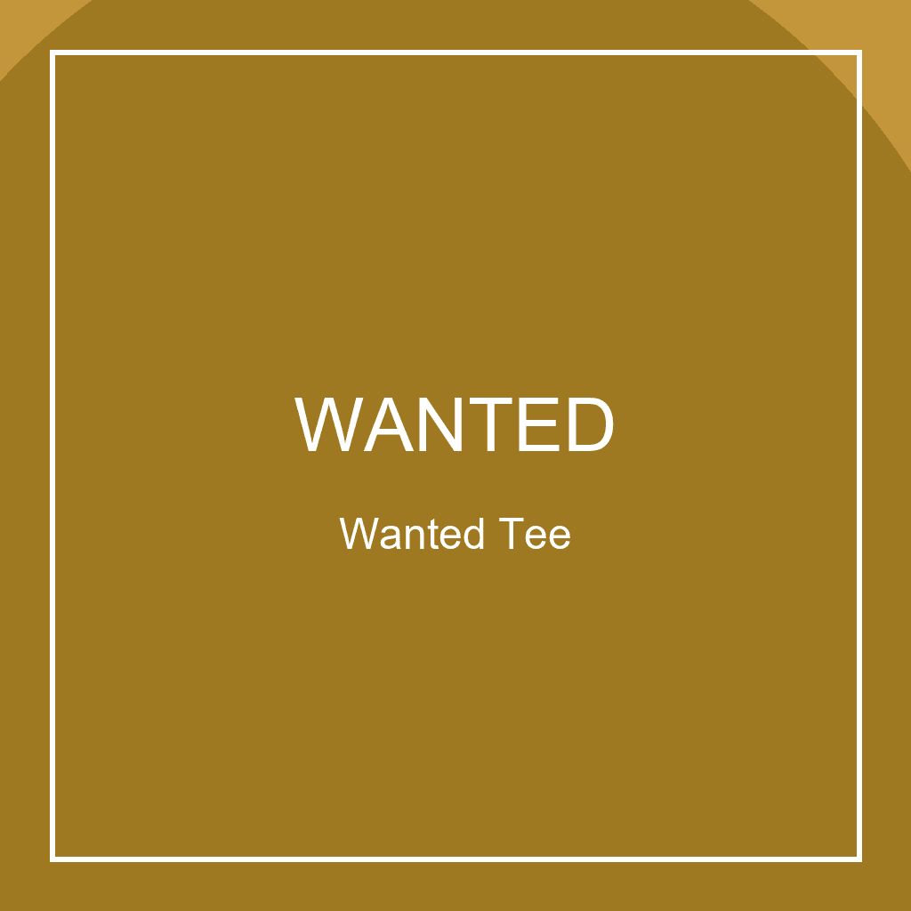 Wanted Tee model preview